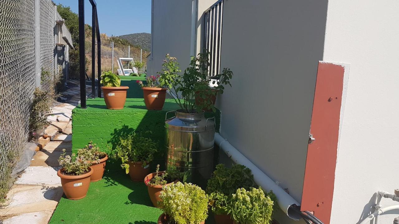 Anatoli Studios Agios Fokas  Dış mekan fotoğraf